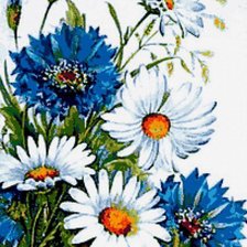 Схема вышивки «ромашки і волошки»