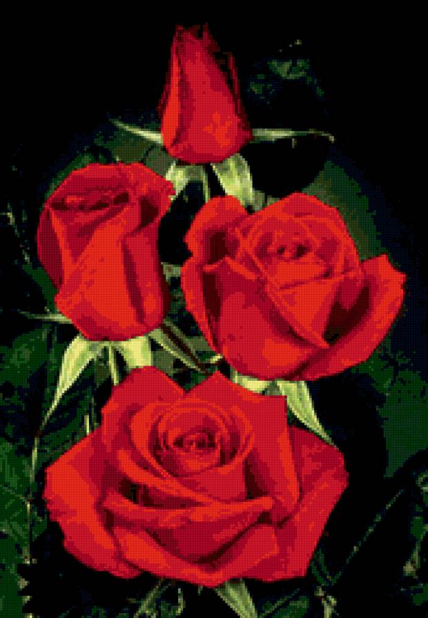 розы - розы, цветы, букет - предпросмотр