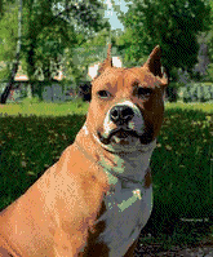 №727070 - предпросмотр