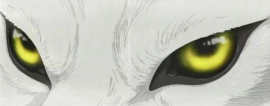 волк - оригинал