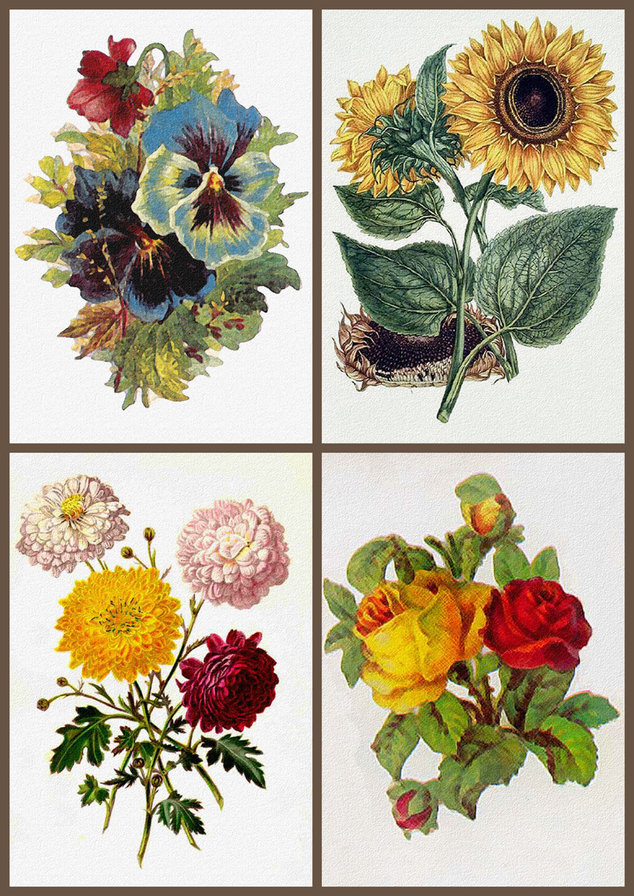 Букетики 7. - оригинал