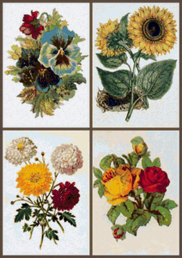 Букетики 7. - предпросмотр