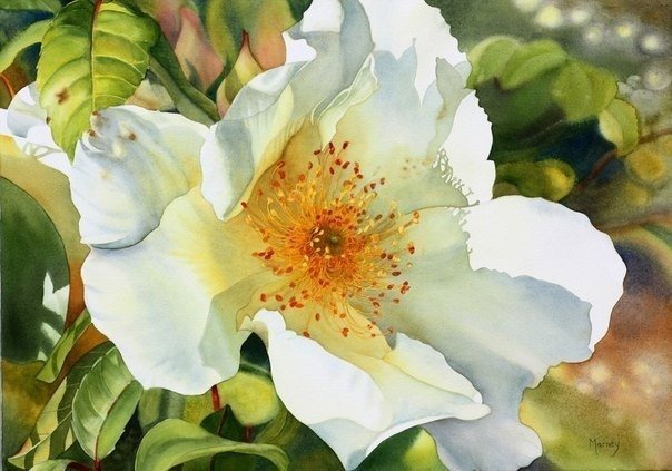 №727306 - цветок - оригинал