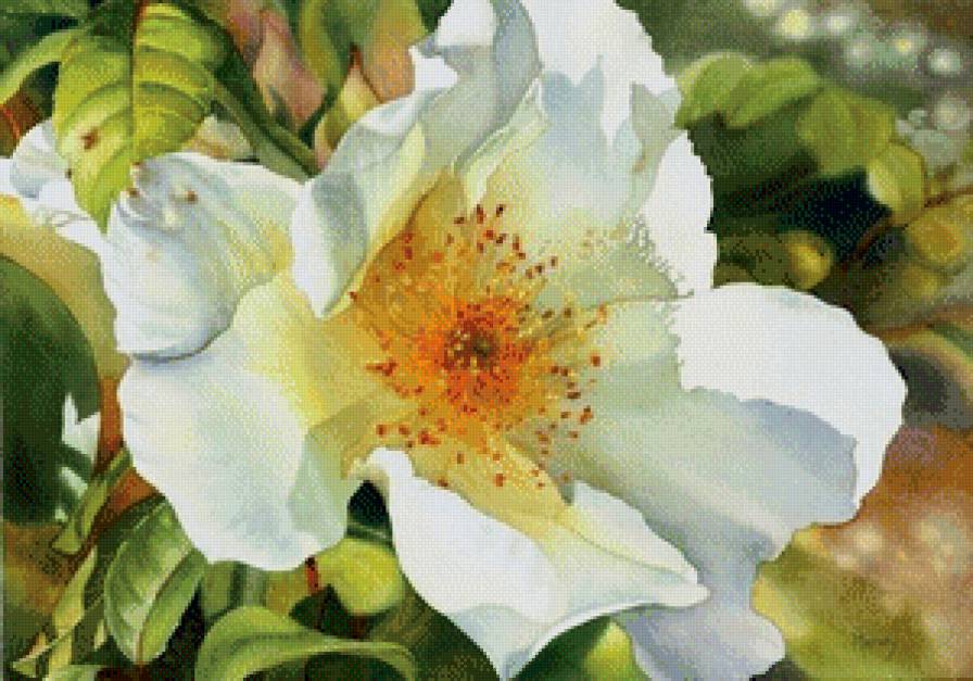 №727306 - цветок - предпросмотр