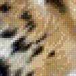Предпросмотр схемы вышивки «тигр» (№727450)