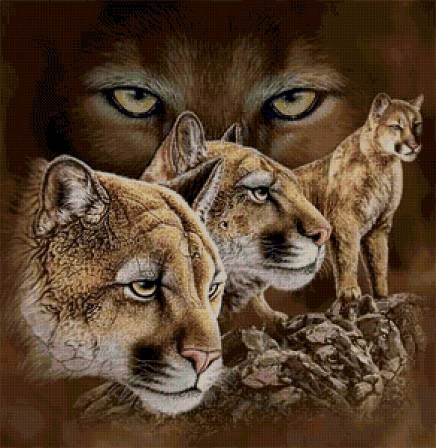 пумы2 - дикие животные - предпросмотр