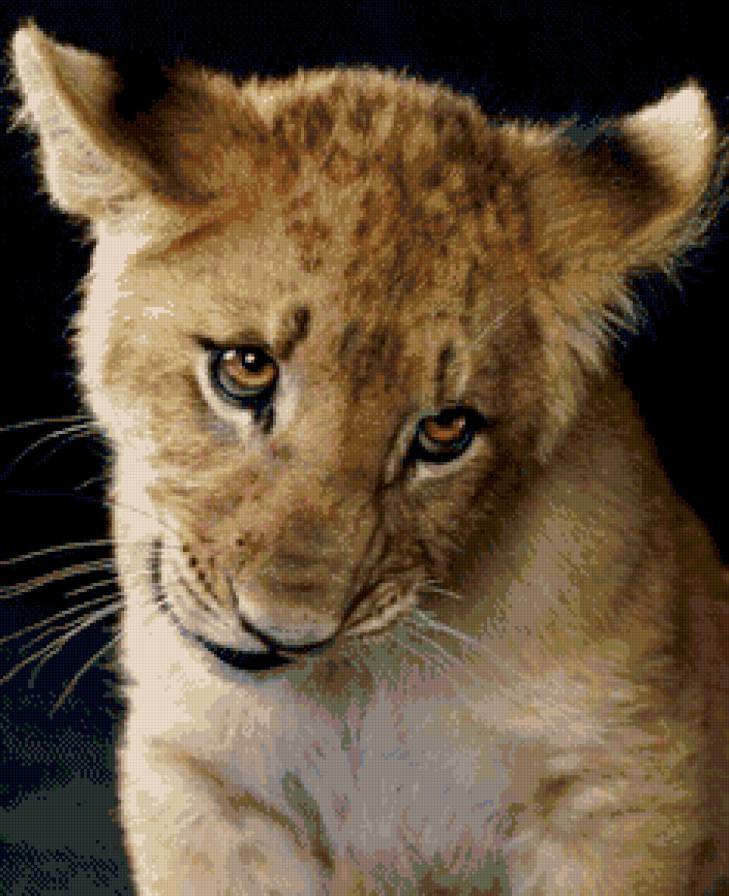 львенок - дикие животные - предпросмотр