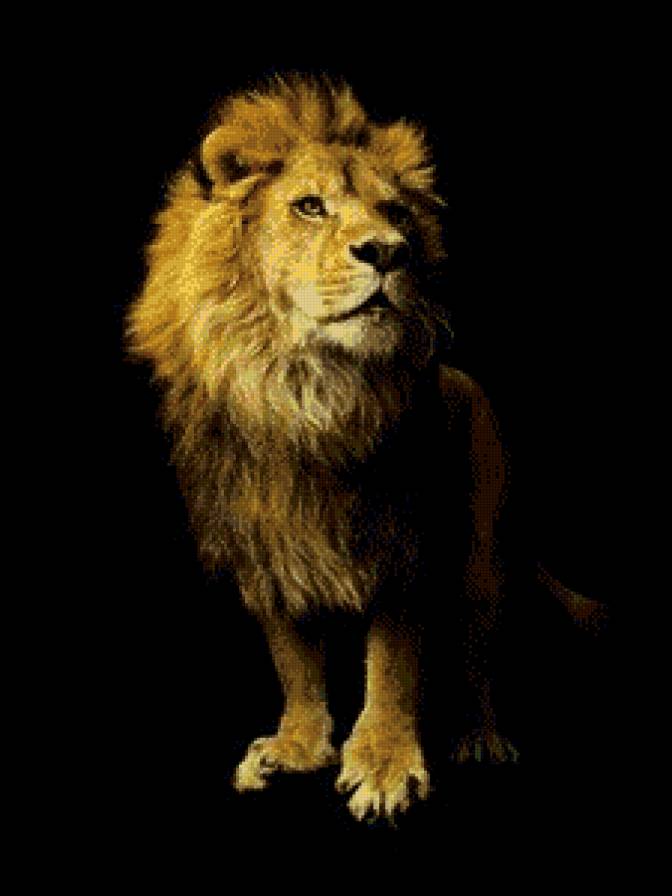 лев - дикие животные - предпросмотр