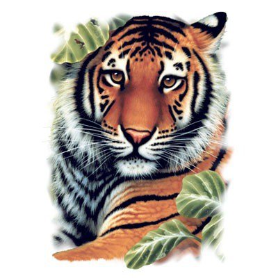 тигр - дикие животные - оригинал