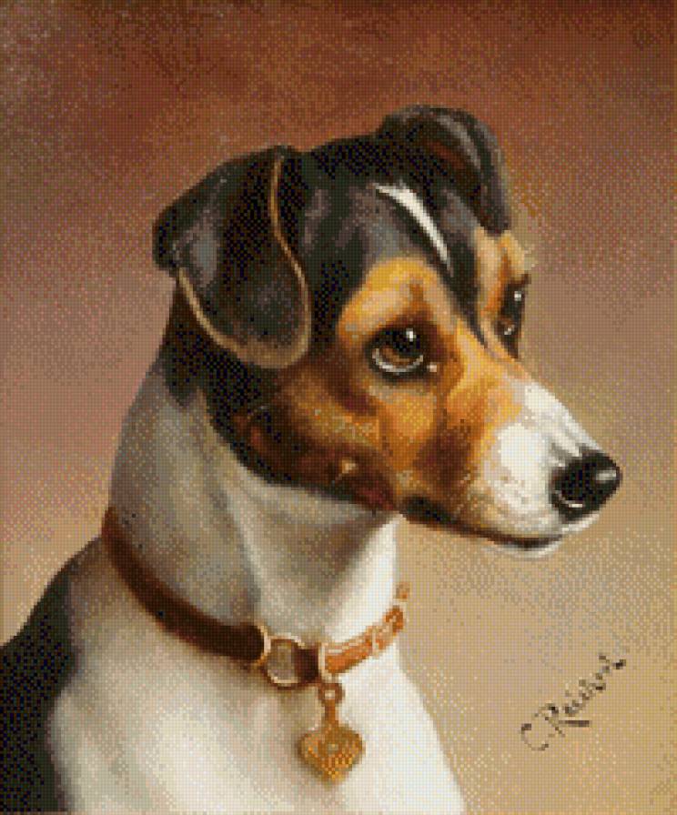 Dog - dog - предпросмотр