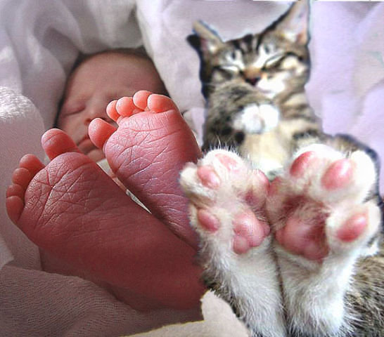 Друзья - ребенок, котенок, малыш, ножки - оригинал