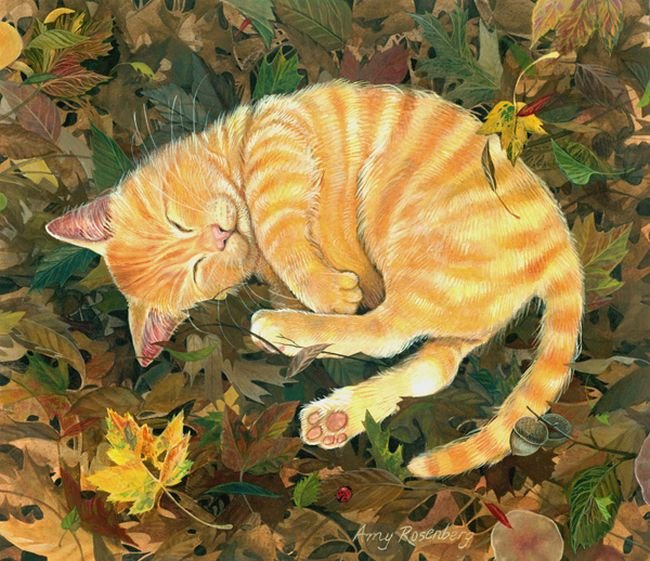 соня - котики, кот, коты, спящие - оригинал