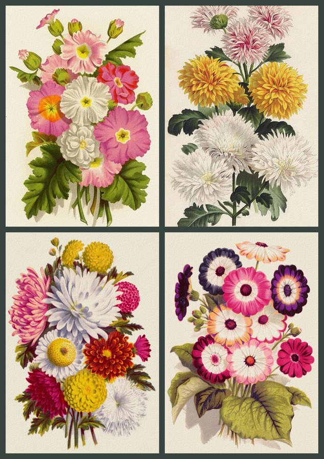 Букетики 16. - оригинал