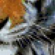 Предпросмотр схемы вышивки «Тигр» (№728181)