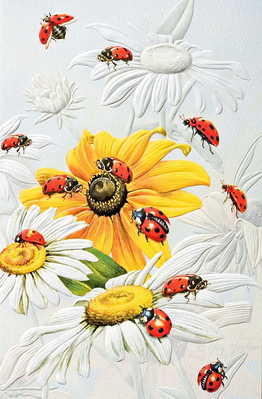 №728309 - оригинал