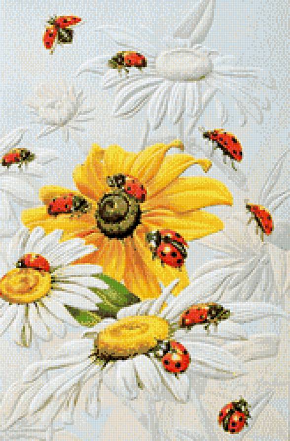 №728309 - предпросмотр