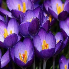 Схема вышивки «№728316»