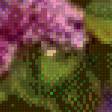 Предпросмотр схемы вышивки «букет» (№728425)
