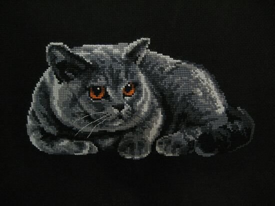 кот - оригинал