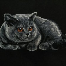 Схема вышивки «кот»