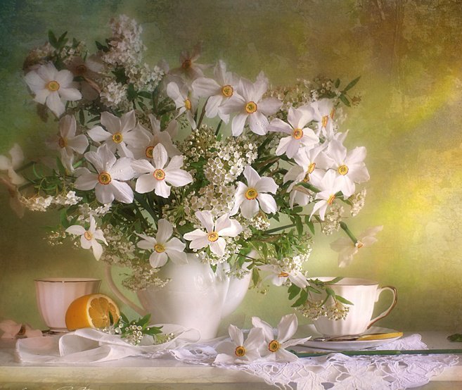 белые нарциссы - оригинал