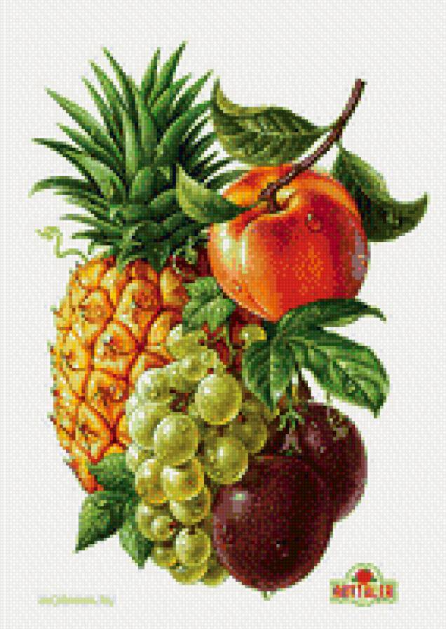 фрукты - фрукты - предпросмотр