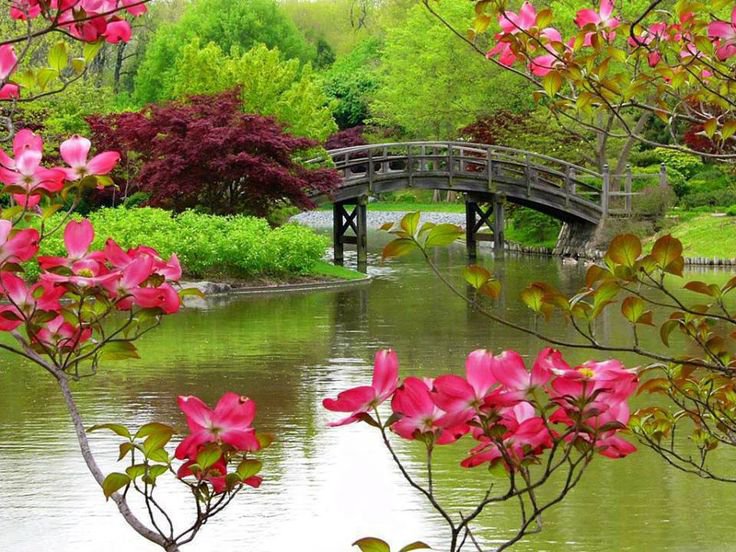 природа - вода, деревья, цветы, мост - оригинал