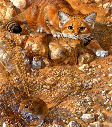 на охоте - животные, котенок - оригинал