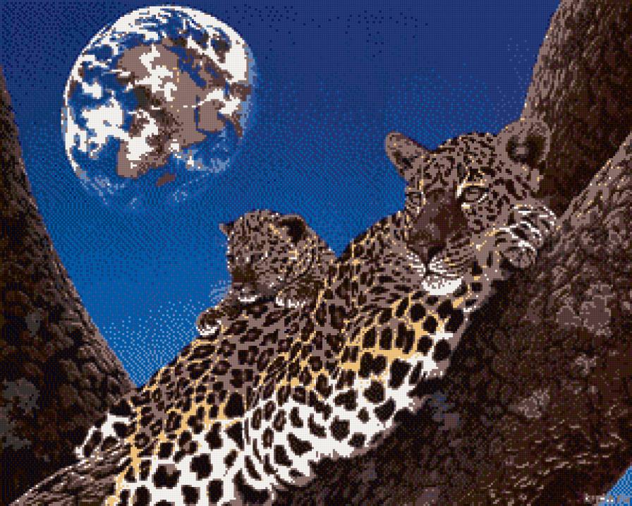 Мама и доча - предпросмотр