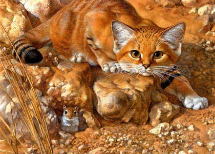 дубль 2 - животные, котенок - оригинал