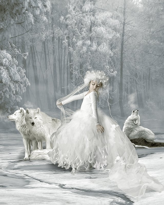 картины Синди Грундстен - волки, лес, девочка, зима - оригинал