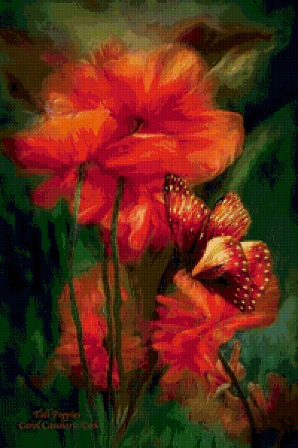 маки и бабочка - бабочка, цветы, маки - предпросмотр