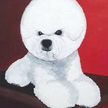 Схема вышивки «собака породы бишон фризе»