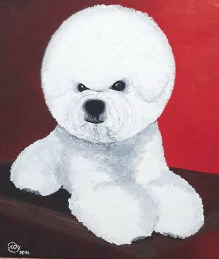 порода собак: бишон фризе - бишон фризе - оригинал