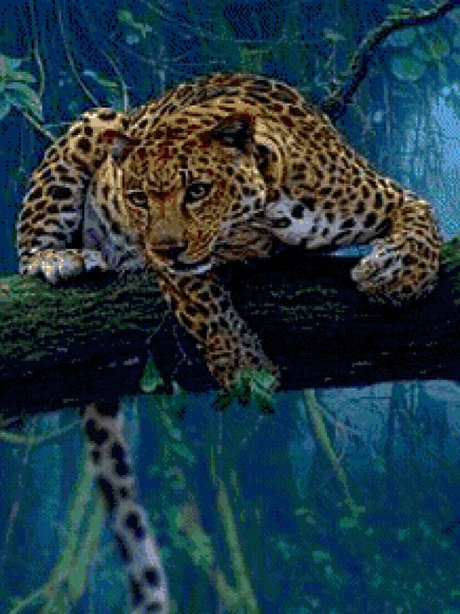 леопард - дикие животные - предпросмотр