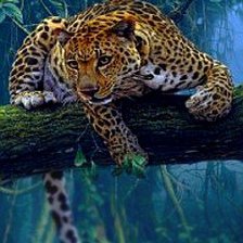 Схема вышивки «леопард»