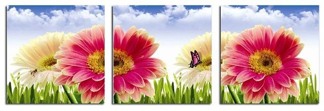 Герберы - сегментированные картины - оригинал