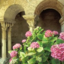 Схема вышивки «Гортензии»