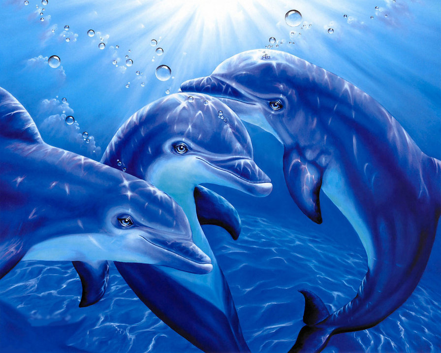 дельфины - оригинал