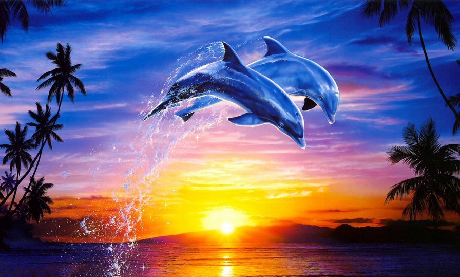 дельфины 2 - оригинал