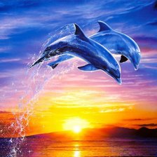 дельфины 2