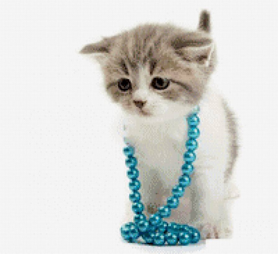 Котейка - коты, животные - предпросмотр