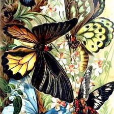 Схема вышивки «№729767»