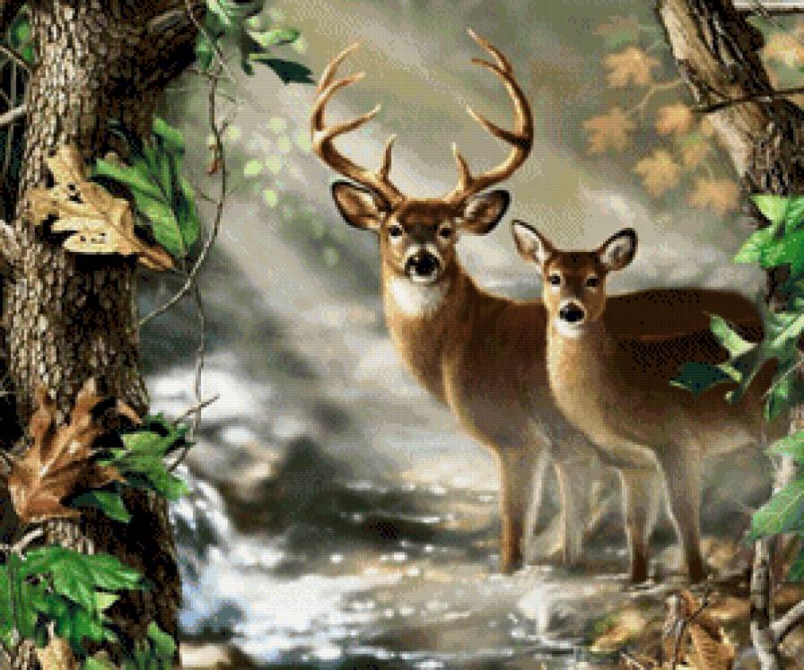 №729770 - предпросмотр