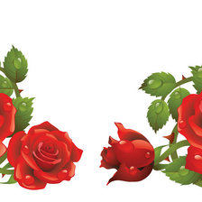 Схема вышивки «Две розы»