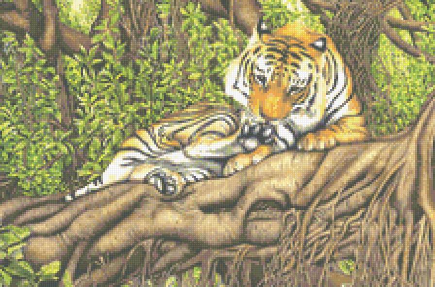 Тигр - тигр, животные, дикие кошки - предпросмотр
