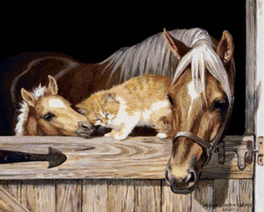 семья - лошадь, животные - предпросмотр