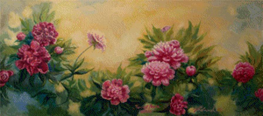 пионы - пионы, цветы, картины - предпросмотр