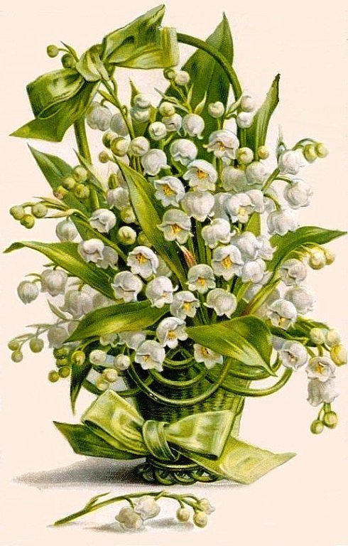 Ландыши - цветы - оригинал