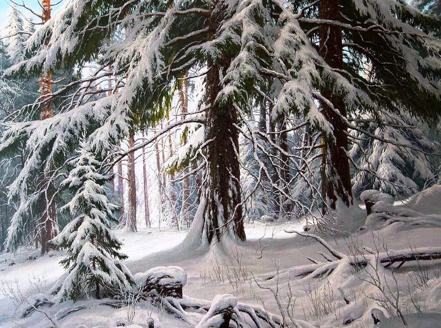 зимний лес - снег, зима, пейзаж, лес - оригинал